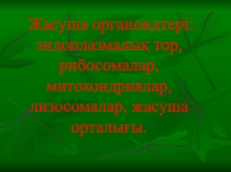 Жасушаның ашылу және зерттелу тарихы