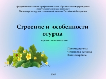 Презентация по плодоводству по теме Строение огурца и некоторые особенности