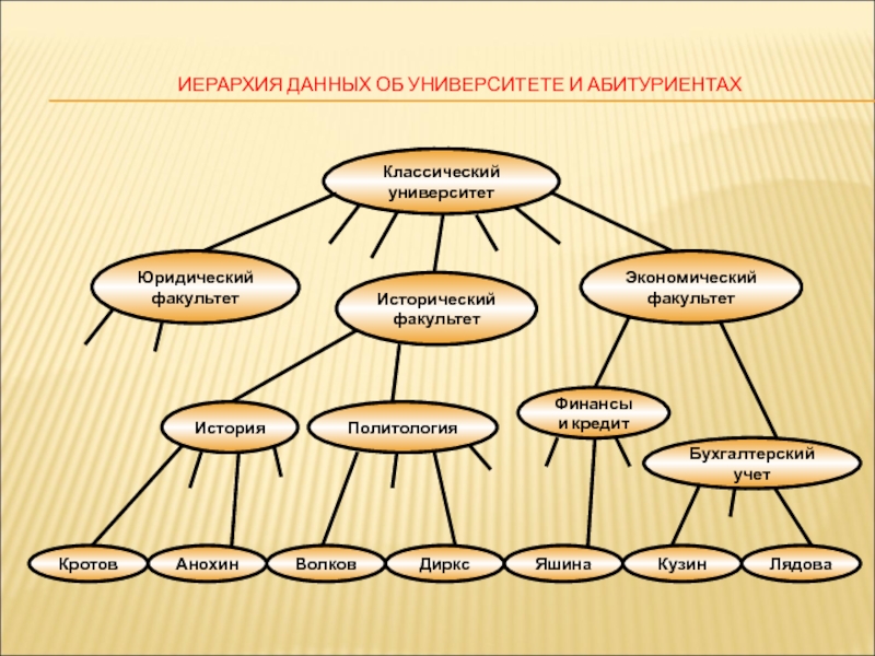 Схема иерархии в школе