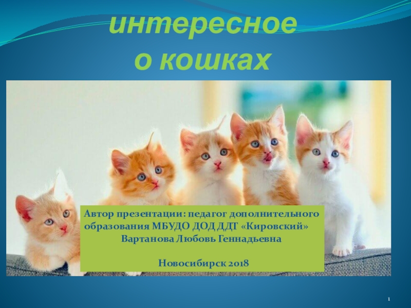 Презентация кошки 4 класс