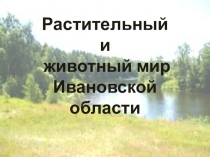 Презентация по окружающему миру на тему: Растительный и животный мир Ивановской области (4 класс)
