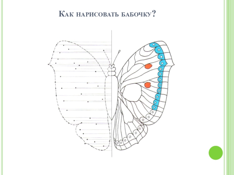 Презентация рисуем бабочку 3 класс