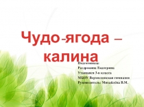 Презентация к исследовательской работе Чудо-ягода калина
