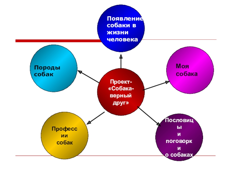 Творческий проект собачка