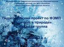 Презентация педагогического проекта по формированию элементарных математических представлений у детей второй младшей группы Величина в природе