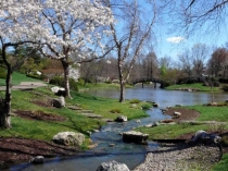 Презентация к занятию на тему: аппликация Весенний букет