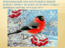 ПРЕЗЕНТАЦИЯ К КОНСПЕКТУ КОРМУШКИ ДЛЯ ЗИМУЮЩИХ ПТИЦ