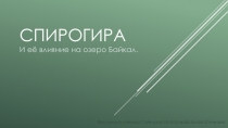 Презентация по биологии Спирогира 7 класс