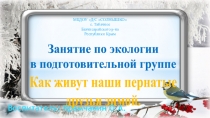 Презентация к занятию по экологии в подготовительной группе Жизнь наших пернатых друзей зимой