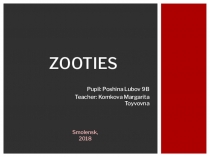 Презентация к открытому уроку Zooties