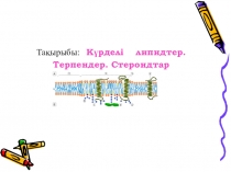 Презантация по химии Күрделі липидтер.Терпендер.Стероидтар.