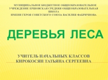 Презентация по окружающему миру на тему Деревья леса (4 класс)