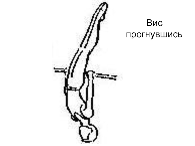 Вис прогнувшись картинка