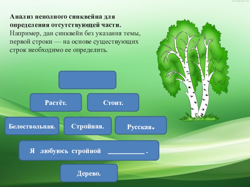 Синквейн презентация 2 класс