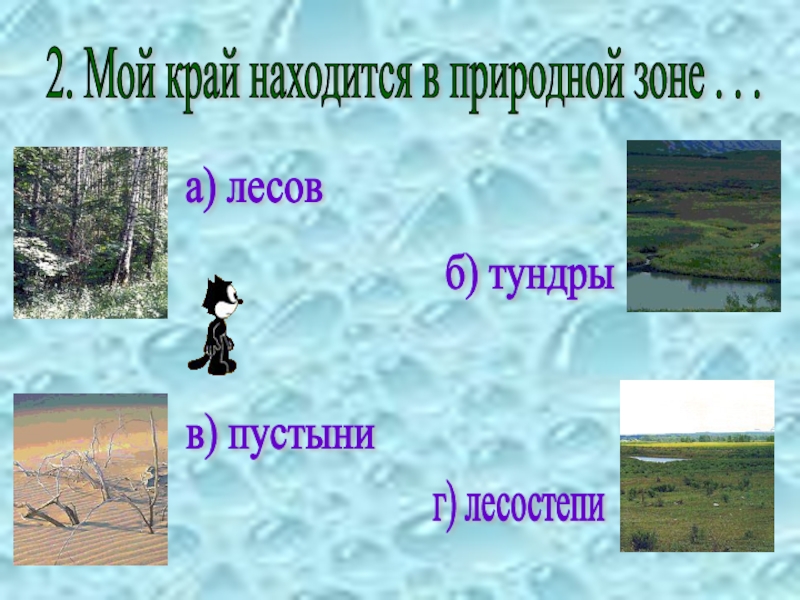 Край находиться. Мой край расположен в природной зоне. Водоёмы Самарской области презентация. Водоемы Самарской области по окружающему миру. Природная зона моего края.