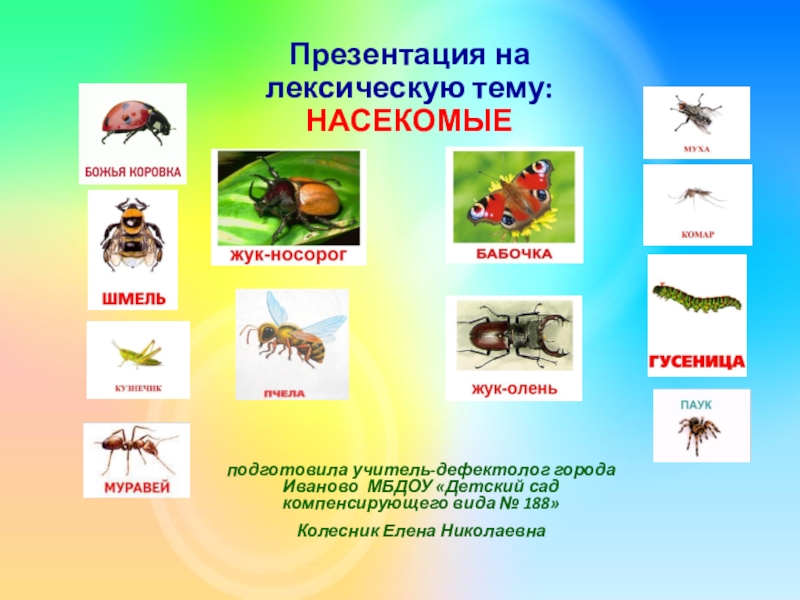 Логопедическая презентация на тему насекомые