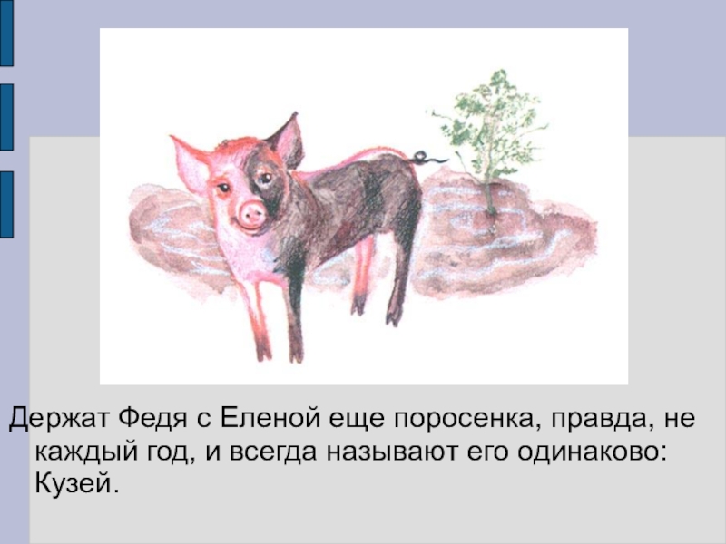 В и белов рассказы о всякой живности презентация 2 класс