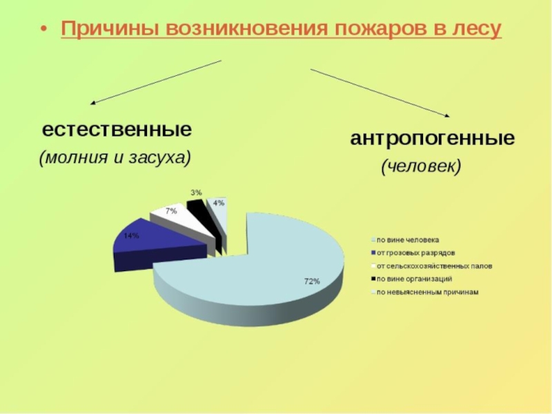 Природные причины. Причины возникновения лесных пожаров. Основные причины лесных пожаров. Основные причины возникновения лесных пожаров. Причины возникновения пожаров в лесу.