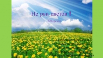 Презентация по литературному чтению по теме Л.Чарская Не рви цветов (2 класс)