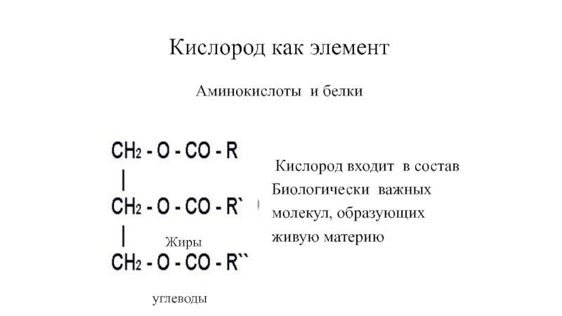 Кислород входит в составБиологически важныхмолекул, образующихживую материюКислород как элементБелкиАминокислоты и белкиуглеводыЖиры