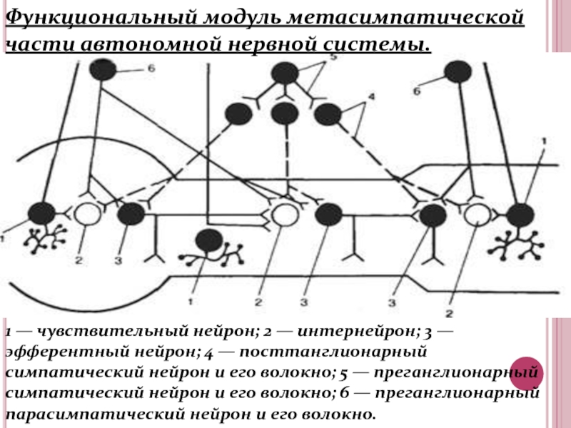 Принципиальная схема внс