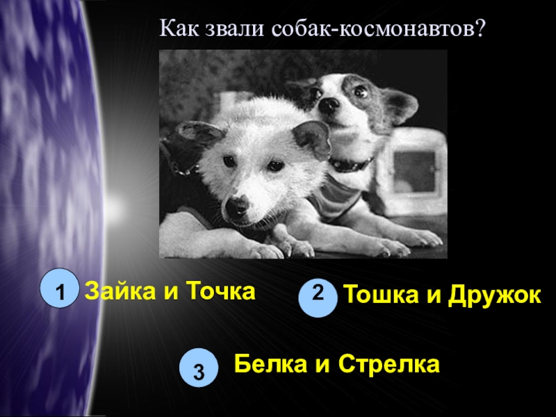 Как звали белку и стрелку. Как звали собак Космонавтов. Белка и стрелка как звали собак. Белка и стрелка дружок. Белка и стрелка через тернии к звездам.