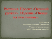 Презентация по технологии на тему Растения. Проект - Осенний урожай (1 класс)