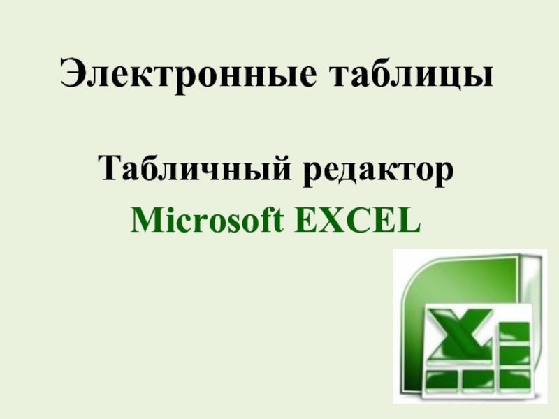 Презентация Презентация по информатике и ИКТ на тему Табличный редактор MS Excel (8 класс)