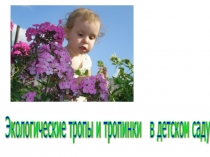 Презентация Экологическая тропа в детском саду