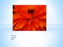 Презентация по теме Цвета в английском языке