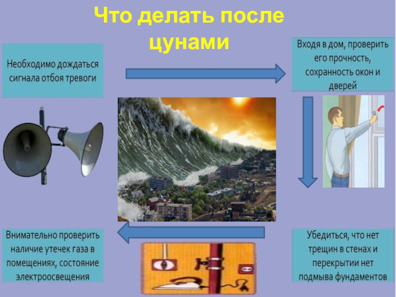 Дополните схему действий человека оказавшегося в волне цунами