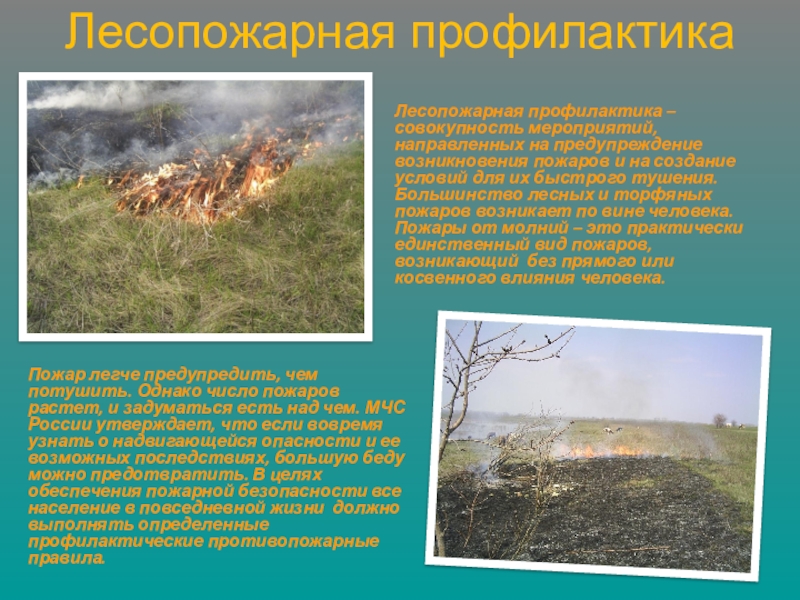 Реферат: Методика прогноза лесной пожарной опасности