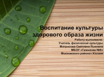 Воспитание культуры здорового образа жизни