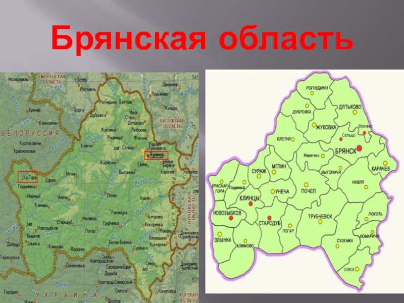 Подробная карта брянской области