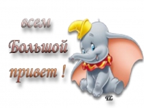 Презентация Определение количества ДНК и количества хромосом в разных клетках растений и животных