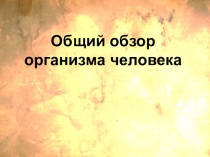 Презентация обзорная по теме Человек