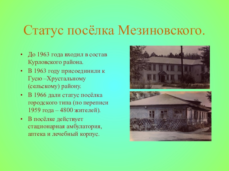 Статус посёлка Мезиновского.До 1963 года входил в состав Курловского района.В 1963 году присоединили к Гусю –Хрустальному (сельскому)