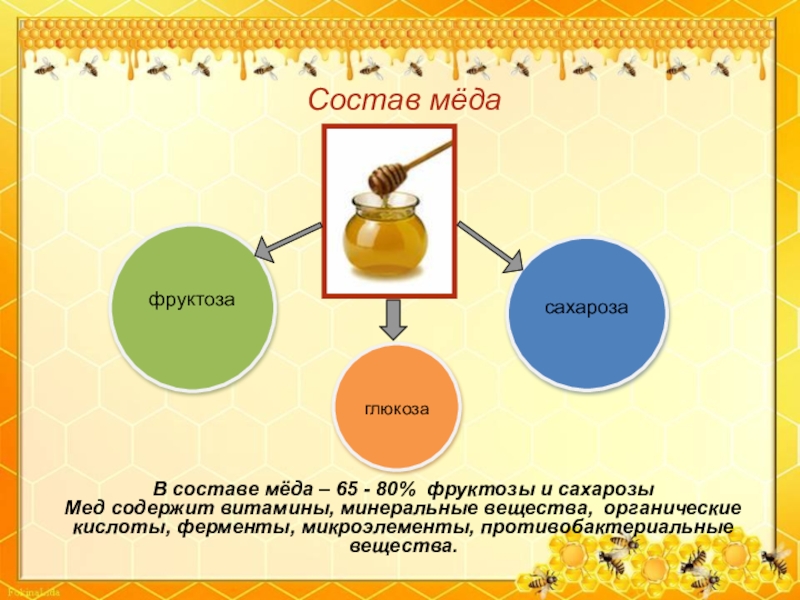 Исследовательский проект на тему мед