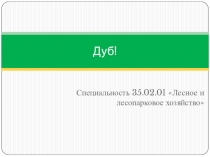 Презентация по теме: Буковые для СПО