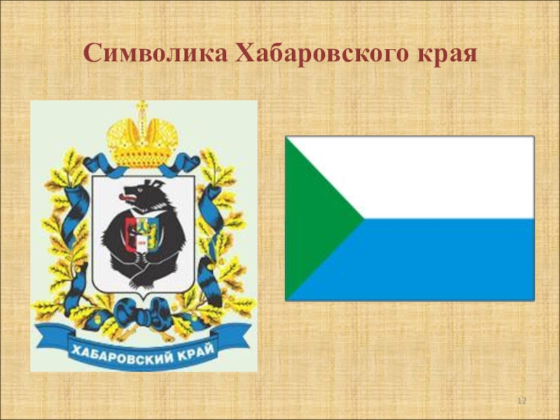 На гербе хабаровского края в центре. Флаг и герб Хабаровского края. Символы Хабаровского края. Новая символика Хабаровского края. Государственный флаг Хабаровского края.
