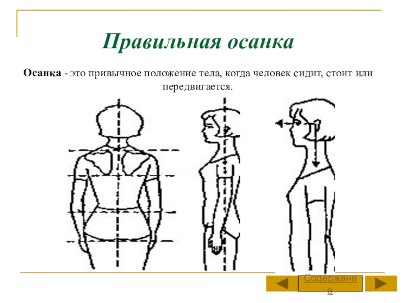 Правильная осанка рисунок