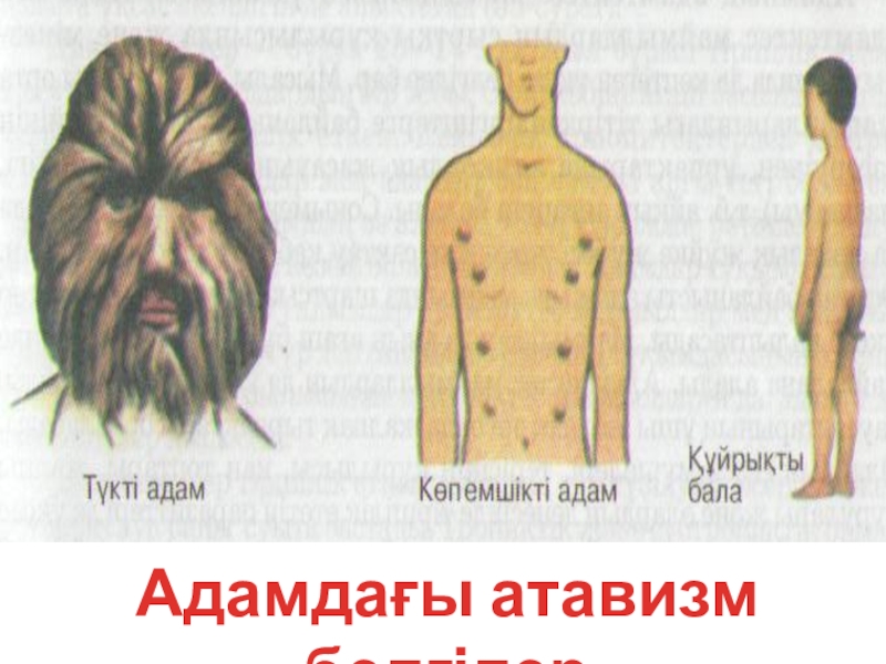 Воротнюкке ұқсайтын порно актриса