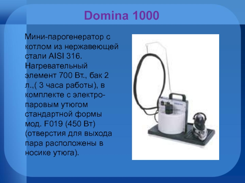 Domina 1000  Мини-парогенератор с котлом из нержавеющей стали AISI 316. Нагревательный элемент 700 Вт., бак 2