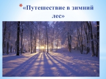 Презентация Путешествие в зимний лес