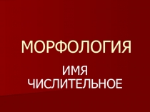 Презентация по русскому языку на тему Имя числительное (6 класс)