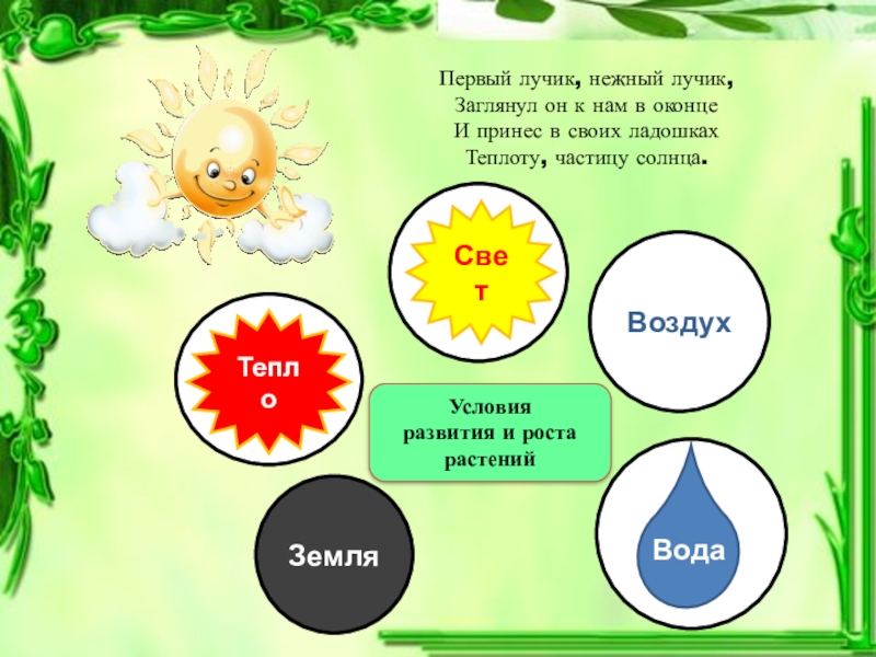 Условия роста и развития. Условия роста растений для дошкольников. Условия роста и развития растений. Условия роста растений схема. Что нужно для роста растений.