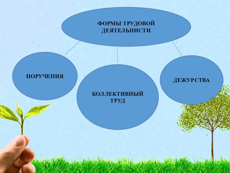 Формирование у детей дошкольного возраста ценностного отношения к родной природе проект