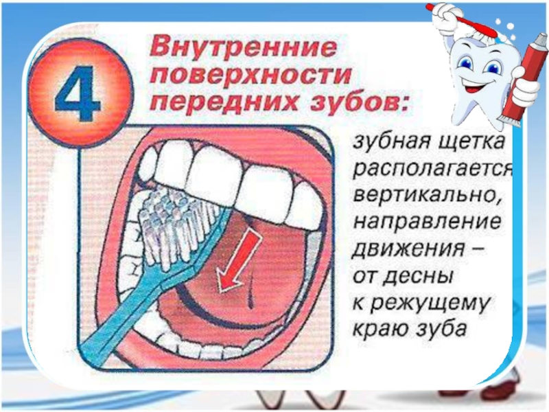 Урок почему нужно чистить зубы и мыть руки 1 класс школа россии презентация