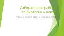 Презентация по биологии 6 класс  Изучение внешнего строения моховидных растений