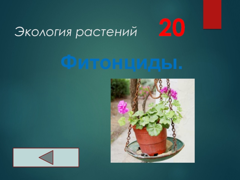 Экология растений   20Фитонциды.